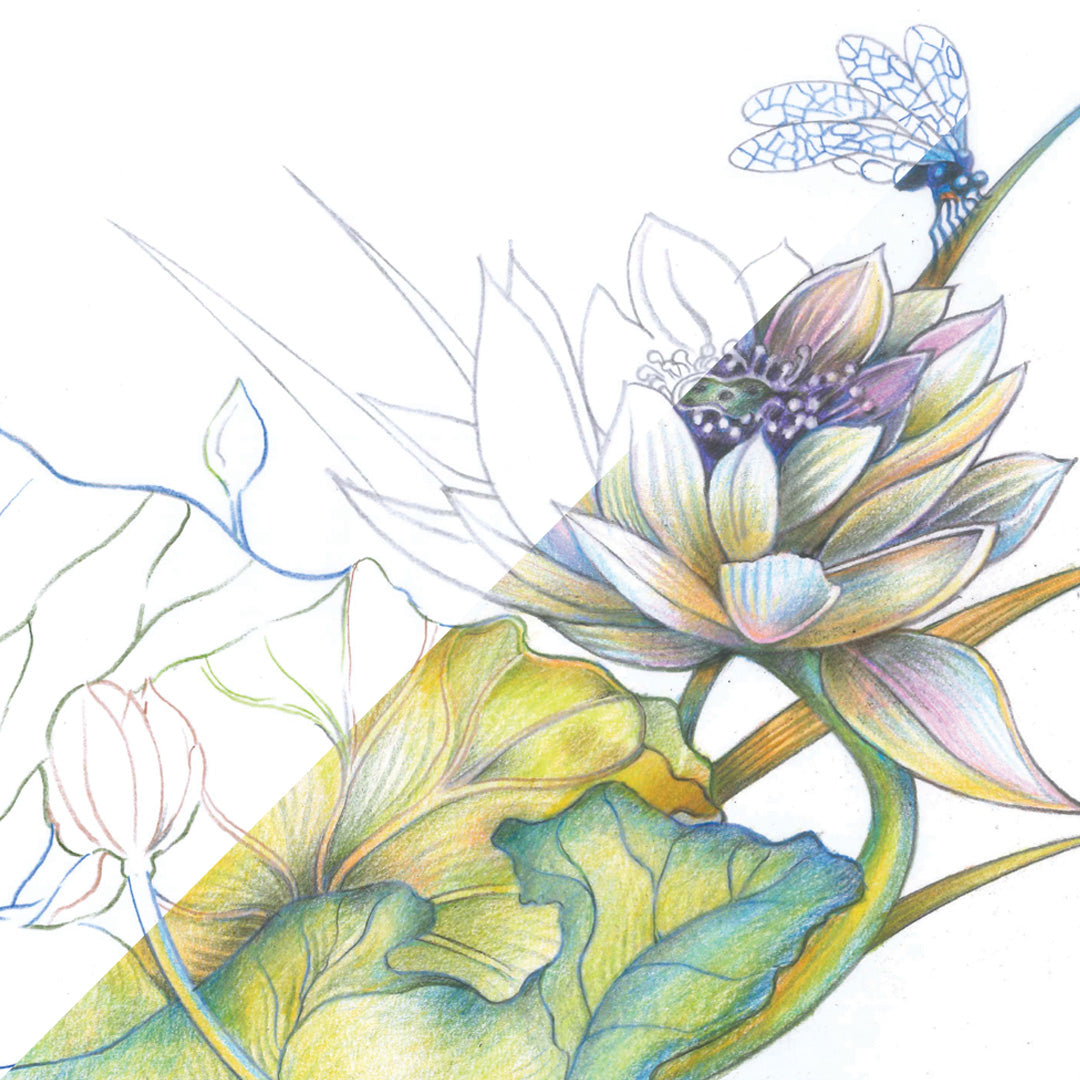 Botanical Flower | 24 Piece Botanical Colored Pencil Set