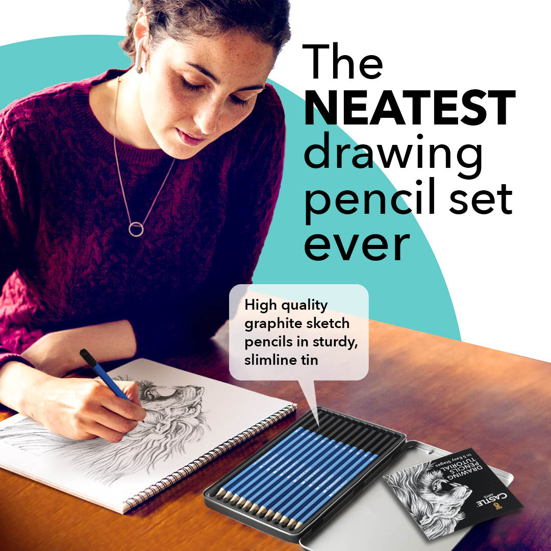 Dessin et esquisse de crayons en graphite de dessin 12 pièces dans l'affichage de l'étain