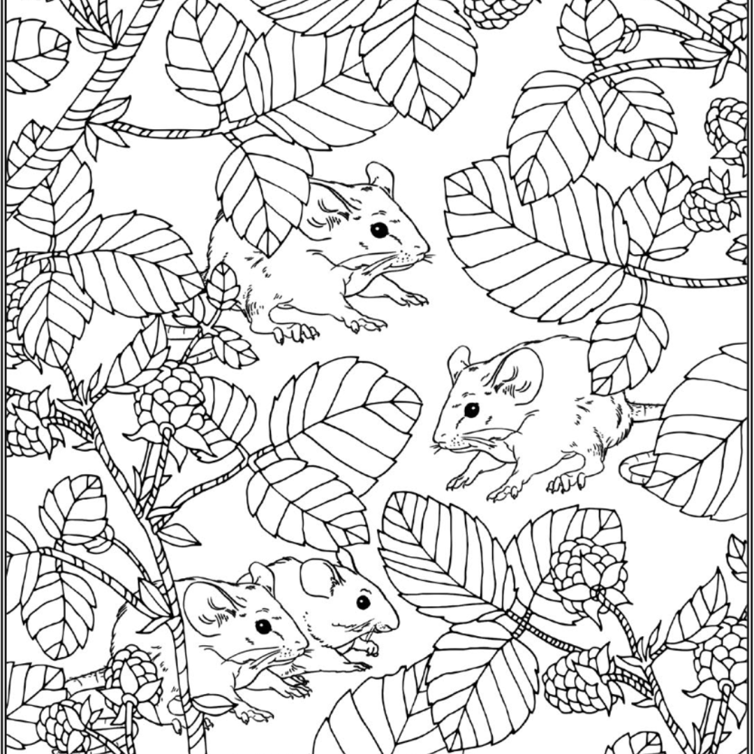 Castle Arts | Over 70 Free Colouring Pages! castle-arts-over-70-free-colouring-pages
