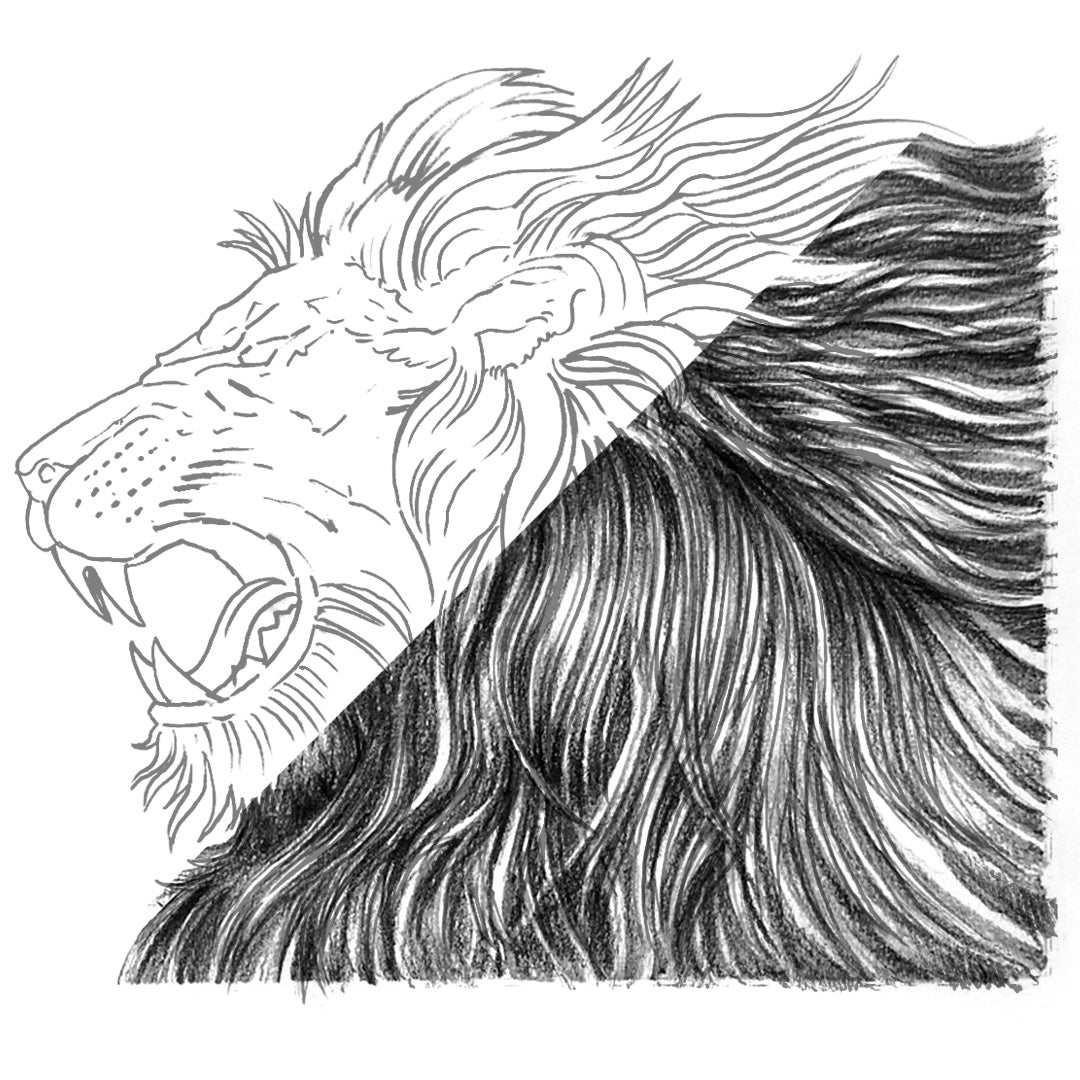 Lion | 12 Piece Drawing and Sketching Graphite Pencil Set