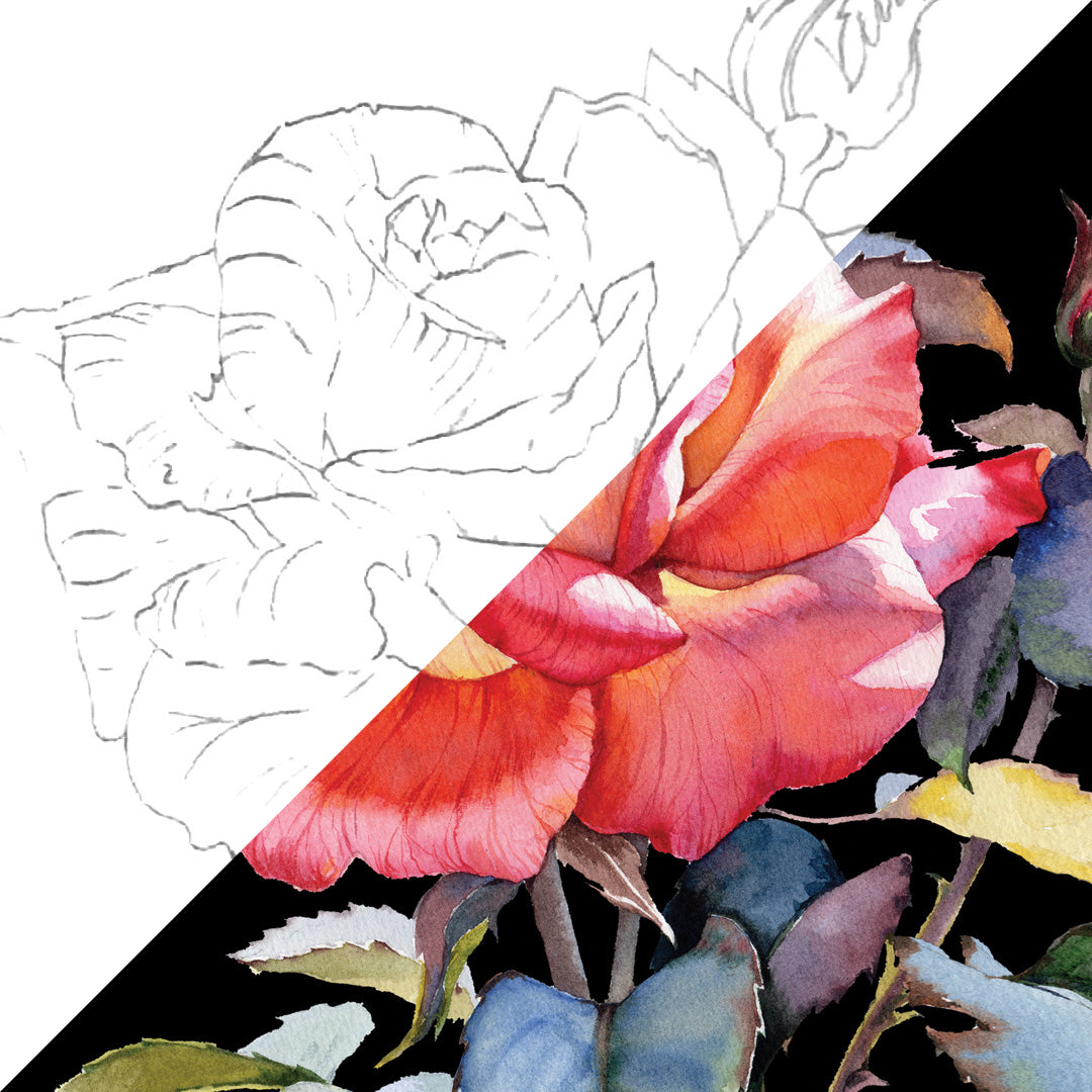 Rose | 24 Piece Floral Botanical Watercolor Pencil Set