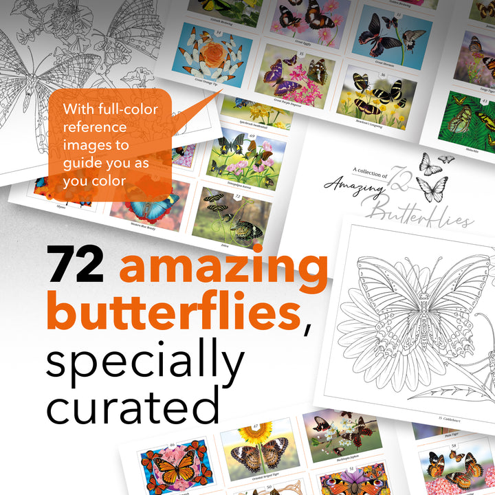 72 Page Amazing Butterflies Coloring Book